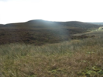 tighvein arran