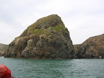 Ynys Gwelltog