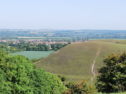 barton hills chilterns