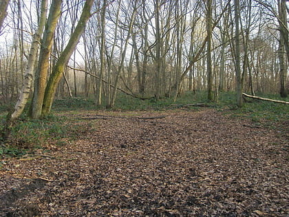 Moorend Common