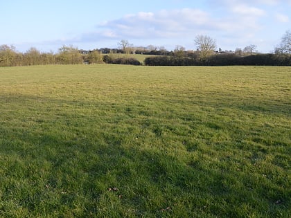 Poker's Pond Meadow