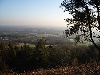 leith hill dorking