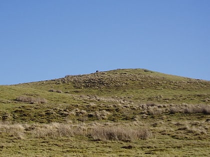 moel y garnedd snowdonia