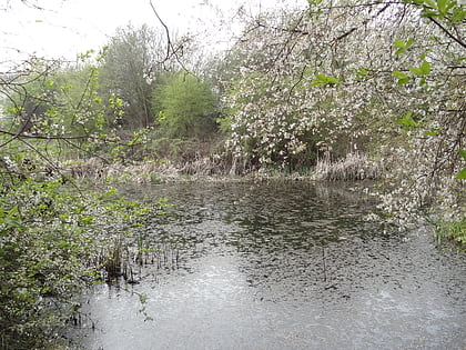 anton crescent wetland malden rushett