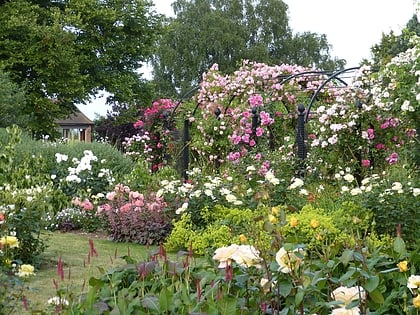 jardin de la royal national rose society st albans
