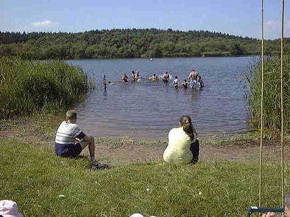 hatchmere