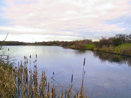 blackleach country park manchester