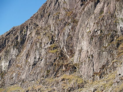 pavey ark