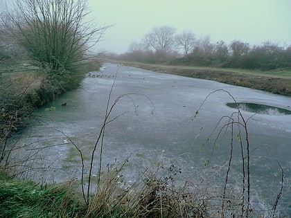 Coombe Hill Canal