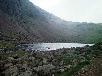 goats water