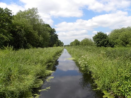 street heath tealham and tadham moors