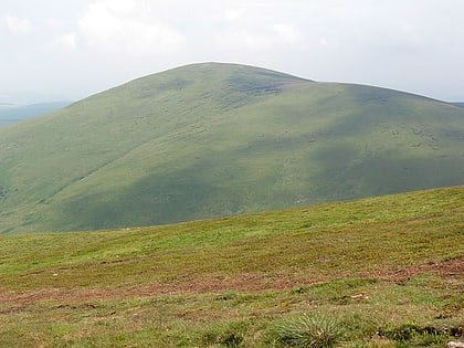 hedgehope hill montes cheviot