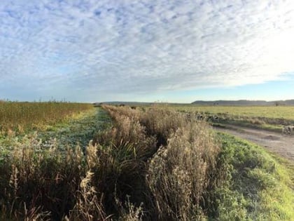 Willows & Wetlands Visitor Centre