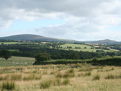 cosdon hill dartmoor