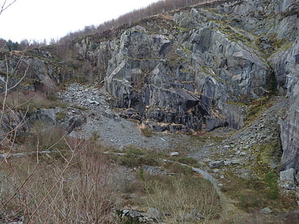 broad vein mudstone formation corris