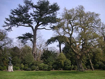 painshill