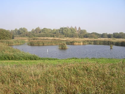 Fowlmere RSPB reserve