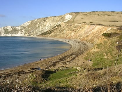 flowers barrow lulworth