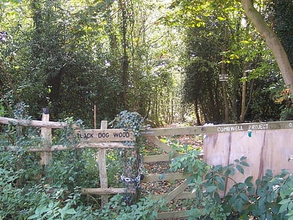 combwell wood high weald area of outstanding natural beauty