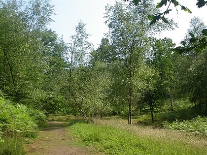 rodborough common stroud