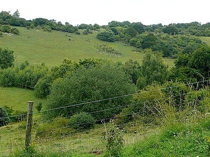 Watlington and Pyrton Hills