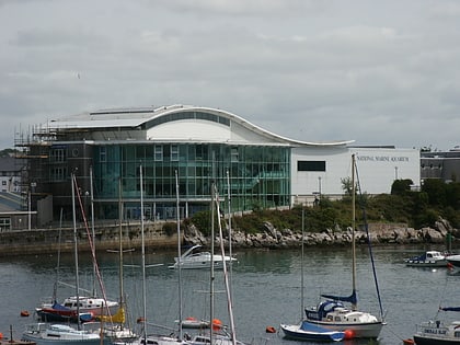 National Marine Aquarium