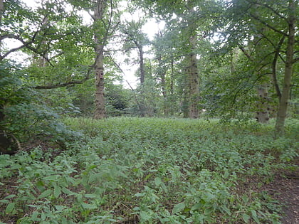 earlham park woods norwich