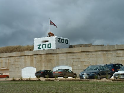 isle of wight zoo shanklin