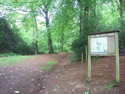 Glory Wood and Devil's Den
