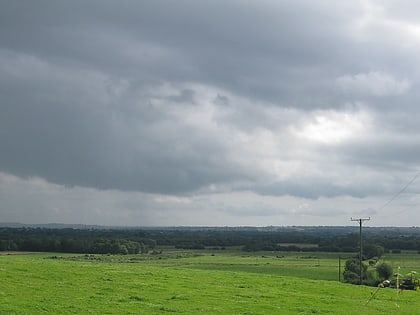 Westhay Moor