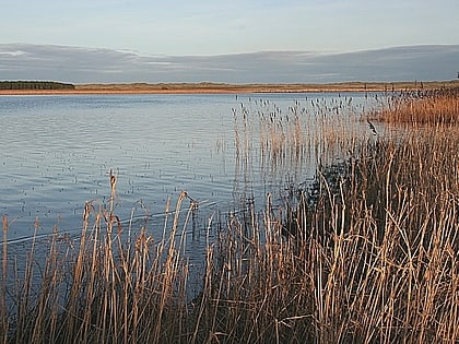 Loch of Strathbeg