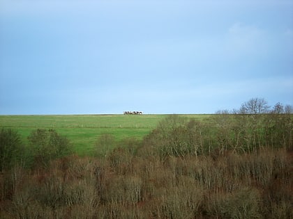hambledon hill