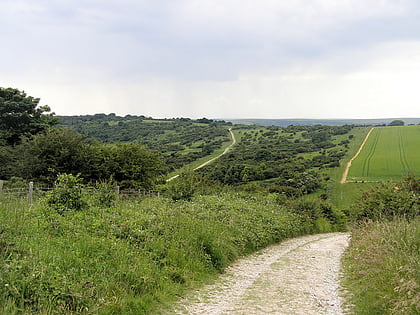 lullington heath cuckmere mundung