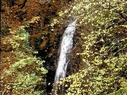 Falls of Turret