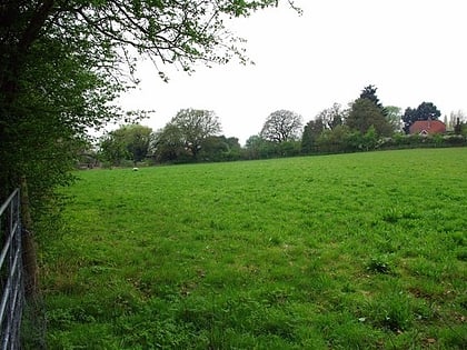 Horndon Meadow