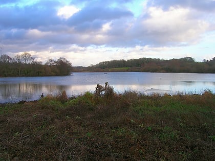Weir Wood Reservoir