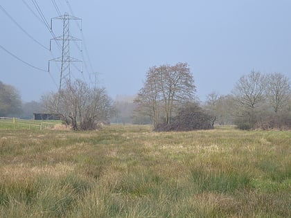 Kingcup Meadows and Oldhouse Wood