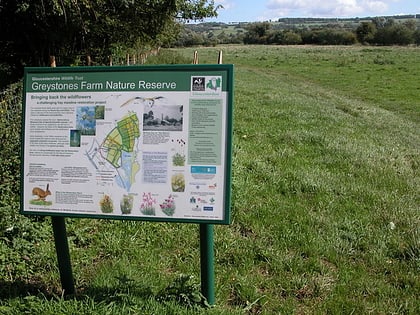 salmonsbury meadows sssi cotswold water park