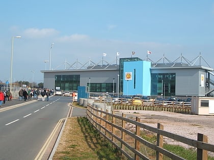 sandy park exeter