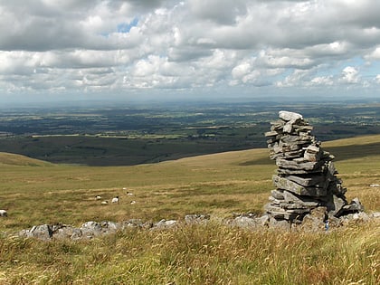 cold fell geltsdale rspb reserve