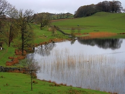 Bigland Tarn