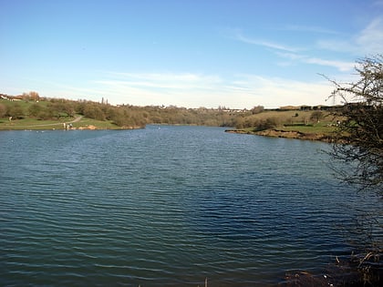 Buckpool and Fens Pool Local Nature Reserve