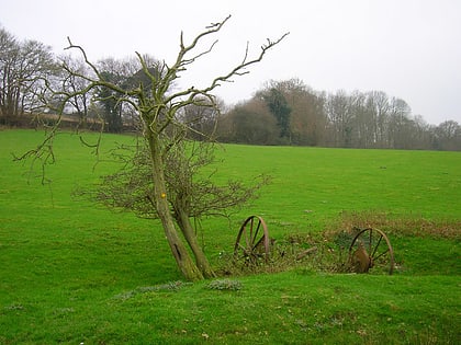 Leasam Heronry Wood