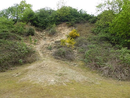 holton pit