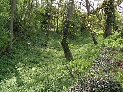 brimpsfield castle park wodny cotswold