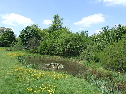 lokalny rezerwat przyrody alis pond reading