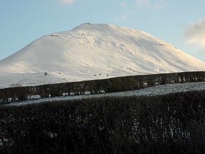 Mynydd Troed