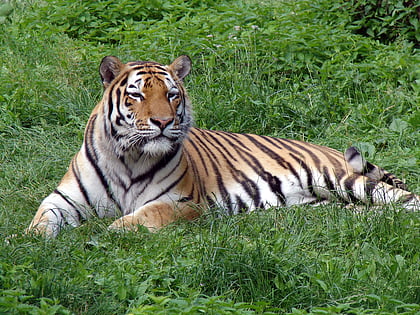 banham zoo attleborough