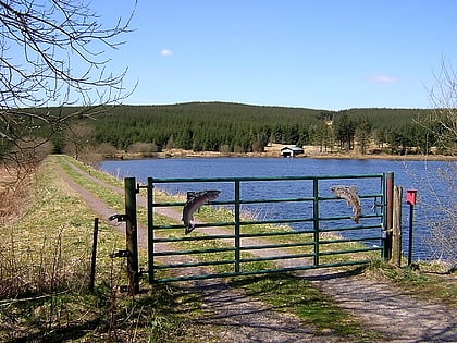 Loch Ettrick