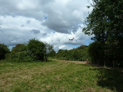 crane meadows